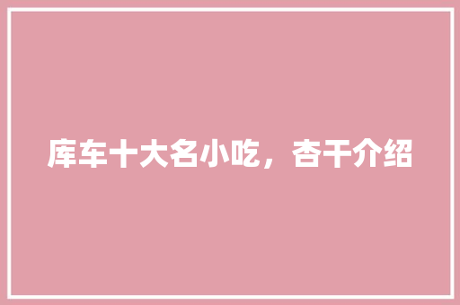 库车十大名小吃，杏干介绍