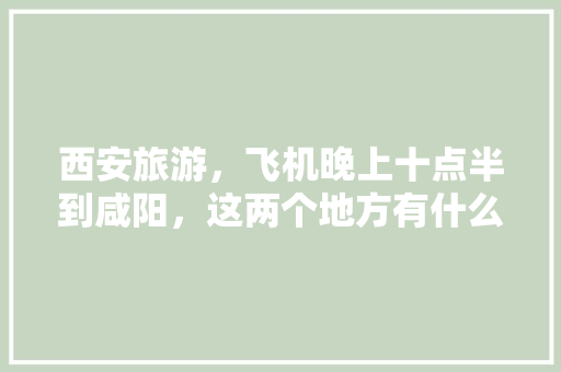 西安旅游，飞机晚上十点半到咸阳，这两个地方有什么必须去的景点，咸阳机场美食攻略 西安旅游，飞机晚上十点半到咸阳，这两个地方有什么必须去的景点，咸阳机场美食攻略 旅行资讯