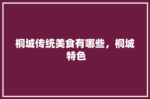 桐城传统美食有哪些，桐城 特色