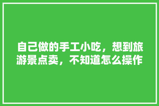 自己做的手工小吃，想到旅游景点卖，不知道怎么操作，特色美食小吃制作
