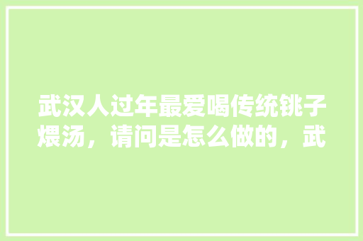 武汉人过年最爱喝传统铫子煨汤，请问是怎么做的，武汉特色十大小吃加盟