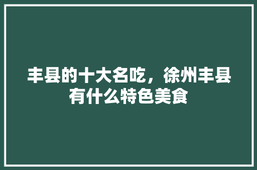 丰县的十大名吃，徐州丰县有什么特色美食