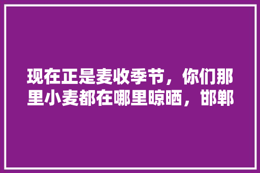 现在正是麦收季节，你们那里小麦都在哪里晾晒，邯郸特色美食小吃 现在正是麦收季节，你们那里小麦都在哪里晾晒，邯郸特色美食小吃 健康建议