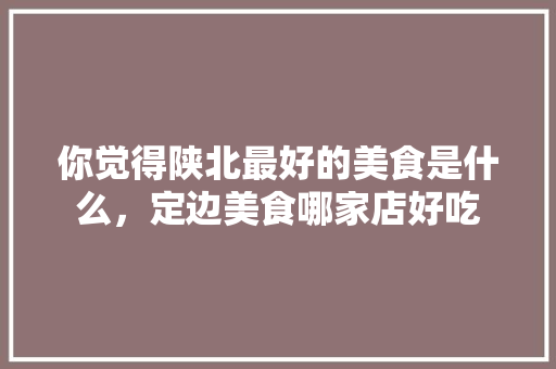 你觉得陕北最好的美食是什么，定边美食哪家店好吃