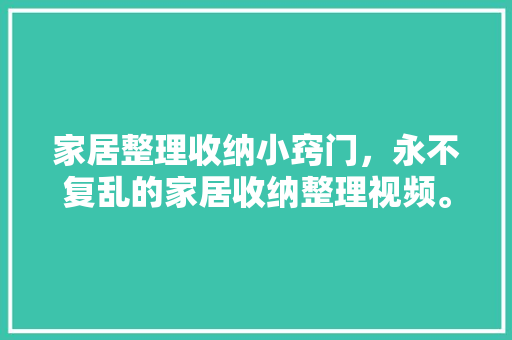 家居整理收纳小窍门，永不复乱的家居收纳整理视频。