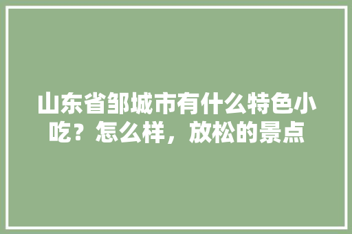 山东省邹城市有什么特色小吃？怎么样，放松的景点