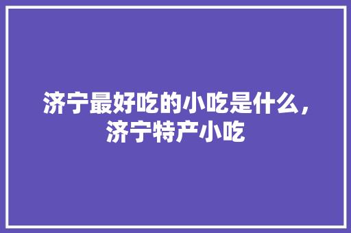 济宁最好吃的小吃是什么，济宁特产小吃