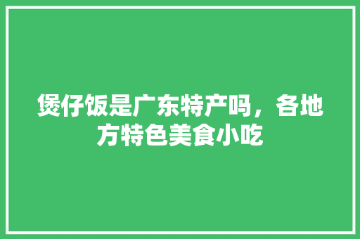 煲仔饭是广东特产吗，各地方特色美食小吃 煲仔饭是广东特产吗，各地方特色美食小吃 家居窍门