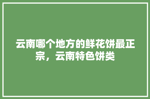 云南哪个地方的鲜花饼最正宗，云南特色饼类