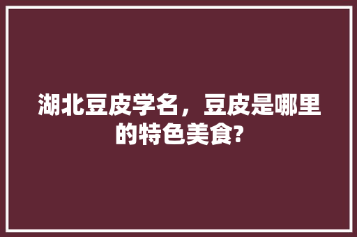 湖北豆皮学名，豆皮是哪里的特色美食? 湖北豆皮学名，豆皮是哪里的特色美食? 旅行资讯