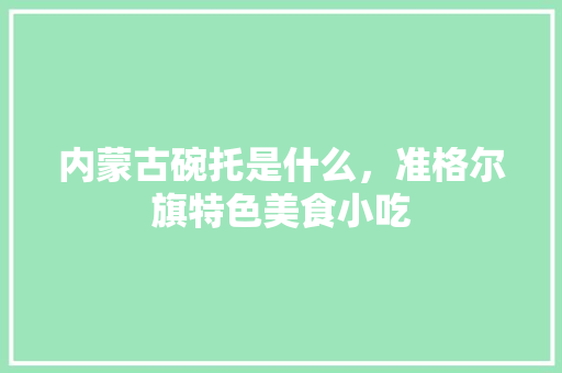 内蒙古碗托是什么，准格尔旗特色美食小吃