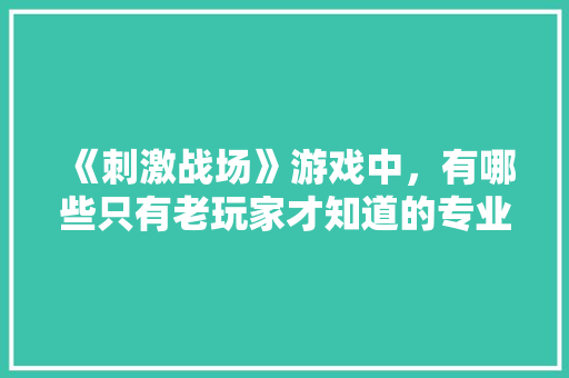《刺激战场》游戏中，有哪些只有老玩家才知道的专业术语，三仓有什么好吃的