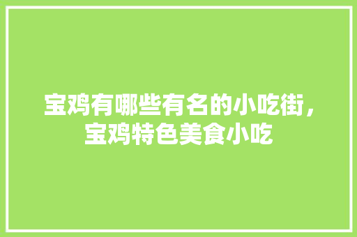 宝鸡有哪些有名的小吃街，宝鸡特色美食小吃 宝鸡有哪些有名的小吃街，宝鸡特色美食小吃 旅行资讯