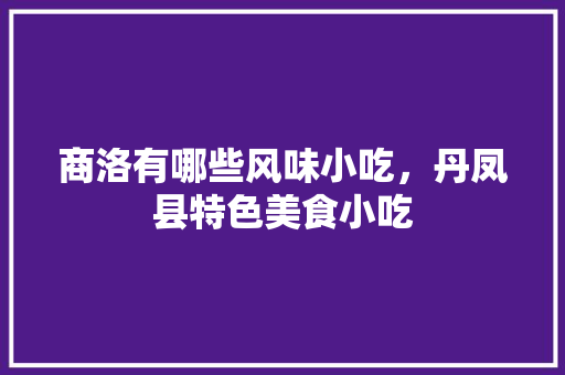 商洛有哪些风味小吃，丹凤县特色美食小吃