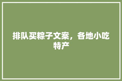 排队买粽子文案，各地小吃特产