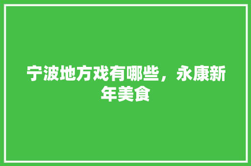 宁波地方戏有哪些，永康新年美食