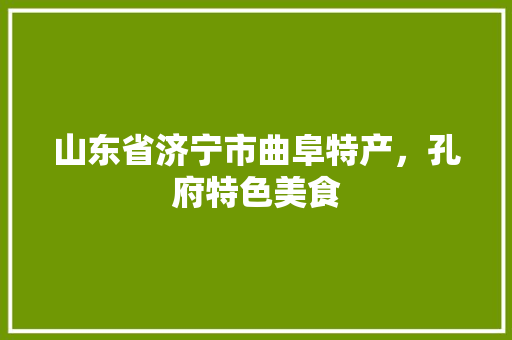 山东省济宁市曲阜特产，孔府特色美食 山东省济宁市曲阜特产，孔府特色美食 生活指南