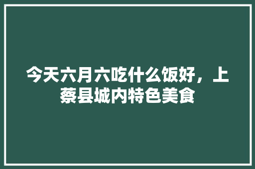 今天六月六吃什么饭好，上蔡县城内特色美食