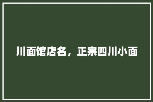 川面馆店名，正宗四川小面