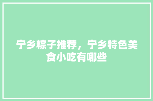 宁乡粽子推荐，宁乡特色美食小吃有哪些 宁乡粽子推荐，宁乡特色美食小吃有哪些 美食推荐