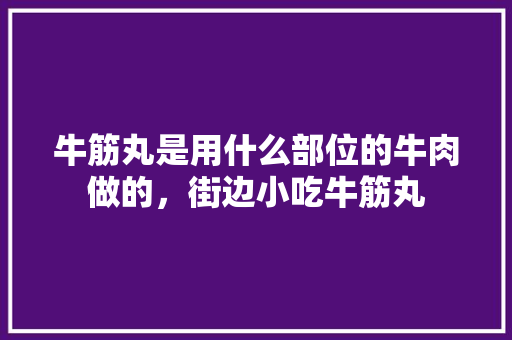 牛筋丸是用什么部位的牛肉做的，街边小吃牛筋丸 牛筋丸是用什么部位的牛肉做的，街边小吃牛筋丸 家居窍门