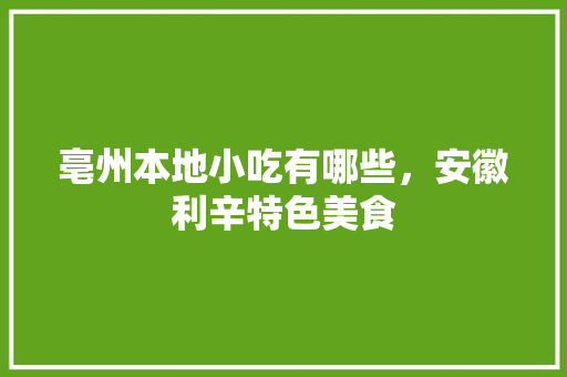 亳州本地小吃有哪些，安徽利辛特色美食