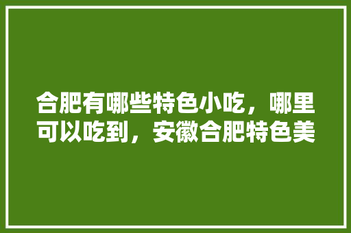 合肥有哪些特色小吃，哪里可以吃到，安徽合肥特色美食小吃