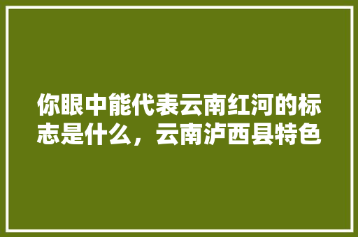 你眼中能代表云南红河的标志是什么，云南泸西县特色美食