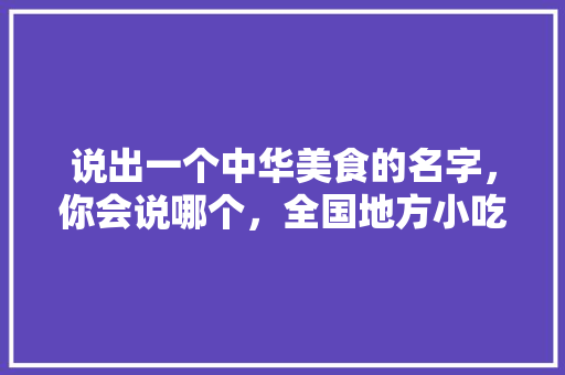 说出一个中华美食的名字，你会说哪个，全国地方小吃特色 说出一个中华美食的名字，你会说哪个，全国地方小吃特色 美食推荐
