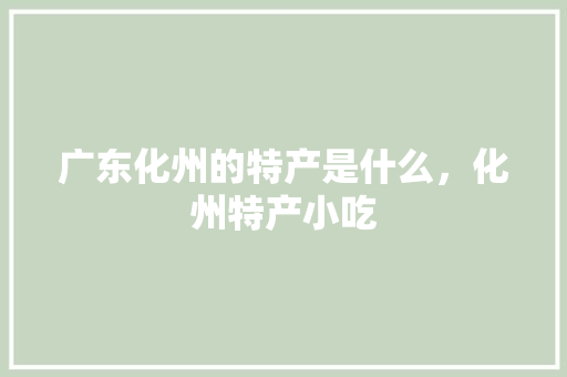 广东化州的特产是什么，化州特产小吃