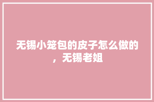 无锡小笼包的皮子怎么做的，无锡老姐 无锡小笼包的皮子怎么做的，无锡老姐 旅行资讯