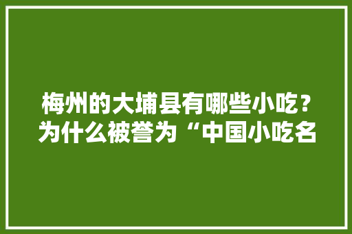 梅州的大埔县有哪些小吃？为什么被誉为“中国小吃名县”、“广东客家美食名县”，大埔县十大中华名小吃 梅州的大埔县有哪些小吃？为什么被誉为“中国小吃名县”、“广东客家美食名县”，大埔县十大中华名小吃 美食推荐
