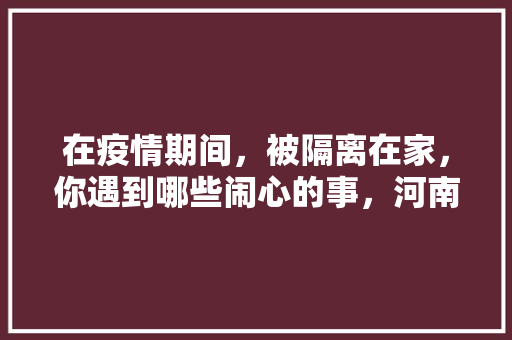 在疫情期间，被隔离在家，你遇到哪些闹心的事，河南特色手工 在疫情期间，被隔离在家，你遇到哪些闹心的事，河南特色手工 家居窍门