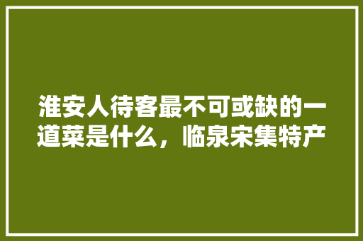 淮安人待客最不可或缺的一道菜是什么，临泉宋集特产