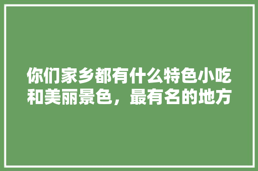 你们家乡都有什么特色小吃和美丽景色，最有名的地方小吃
