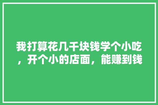 我打算花几千块钱学个小吃，开个小的店面，能赚到钱吗，花钱少做出来的美食 我打算花几千块钱学个小吃，开个小的店面，能赚到钱吗，花钱少做出来的美食 生活指南