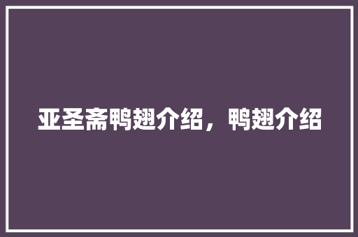 亚圣斋鸭翅介绍，鸭翅介绍 亚圣斋鸭翅介绍，鸭翅介绍 健康建议