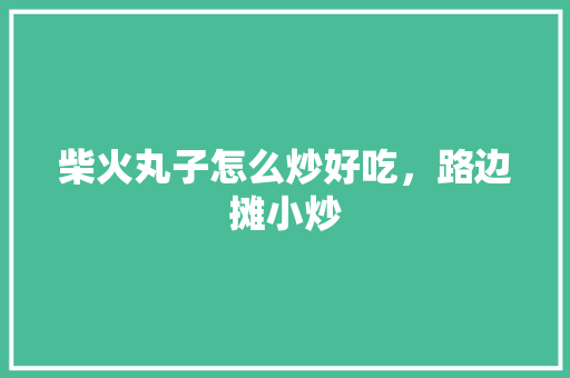 柴火丸子怎么炒好吃，路边摊小炒 柴火丸子怎么炒好吃，路边摊小炒 旅行资讯