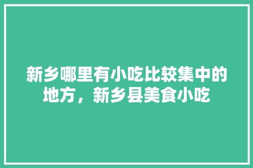 新乡哪里有小吃比较集中的地方，新乡县美食小吃