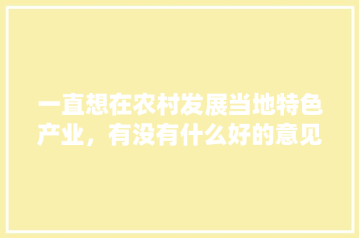 一直想在农村发展当地特色产业，有没有什么好的意见，该做好哪些准备工作，地方传统小吃怎样发展