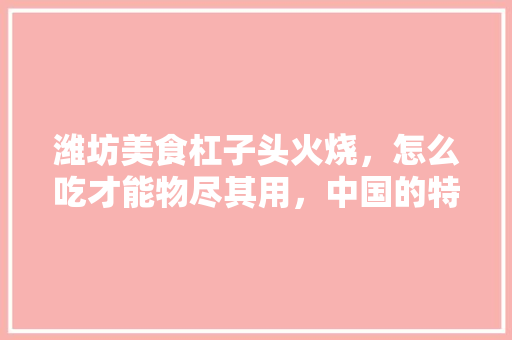潍坊美食杠子头火烧，怎么吃才能物尽其用，中国的特色美食火烧