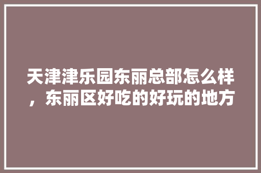 天津津乐园东丽总部怎么样，东丽区好吃的好玩的地方