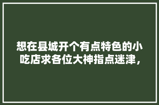 想在县城开个有点特色的小吃店求各位大神指点迷津，特色美食小吃店