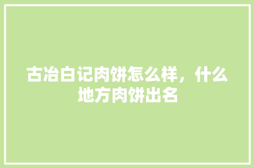 古冶白记肉饼怎么样，什么地方肉饼出名 古冶白记肉饼怎么样，什么地方肉饼出名 家居窍门
