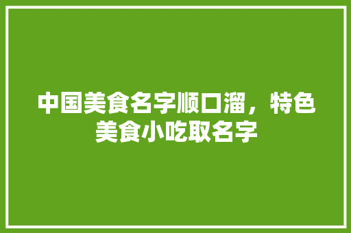 中国美食名字顺口溜，特色美食小吃取名字