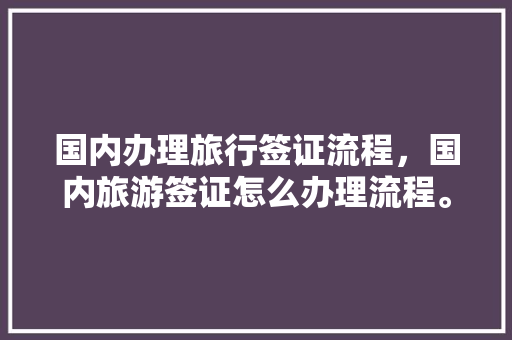 国内办理旅行签证流程，国内旅游签证怎么办理流程。
