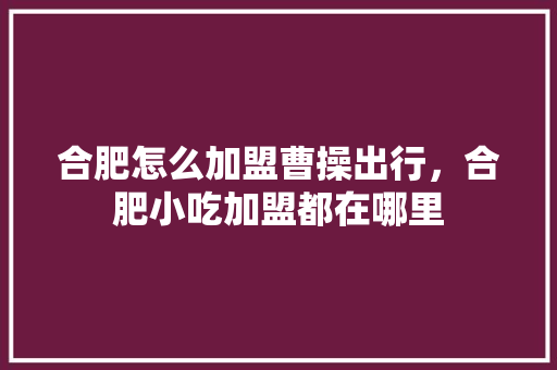 合肥怎么加盟曹操出行，合肥小吃加盟都在哪里