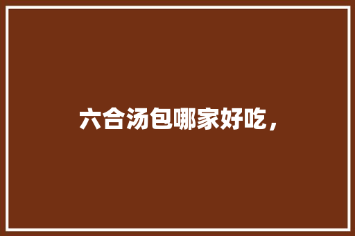 六合汤包哪家好吃， 六合汤包哪家好吃， 美食推荐