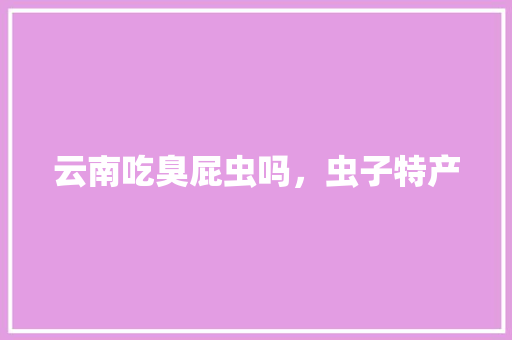 云南吃臭屁虫吗，虫子特产 云南吃臭屁虫吗，虫子特产 美食推荐