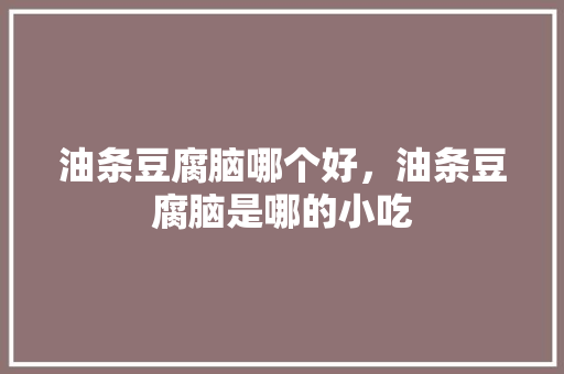 油条豆腐脑哪个好，油条豆腐脑是哪的小吃